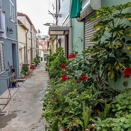 Semesterbostad Typical Quarter Nest