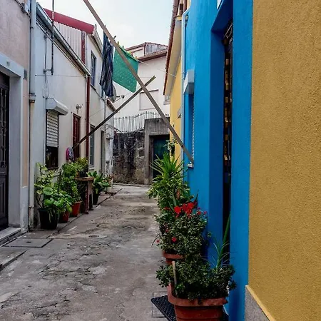 Typical Quarter Nest Oporto