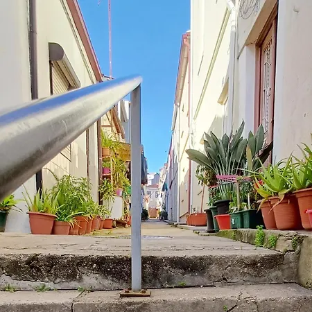 Typical Quarter Nest Holiday home Porto