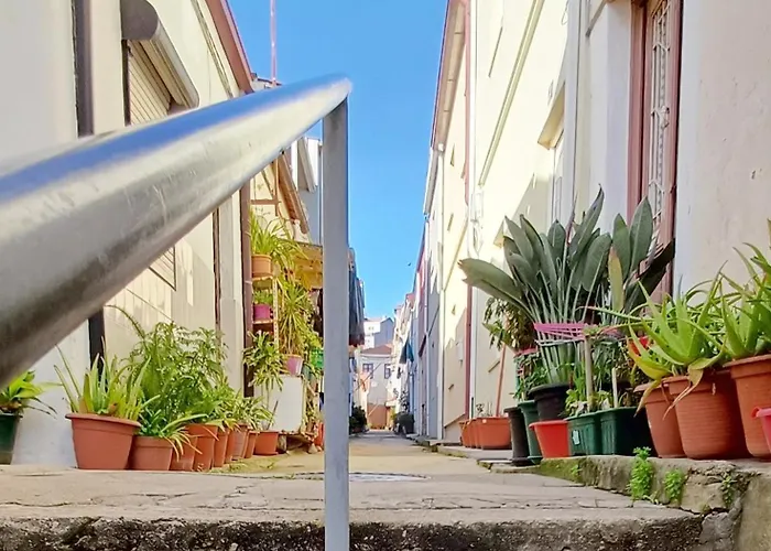 Typical Quarter Nest Holiday home Porto