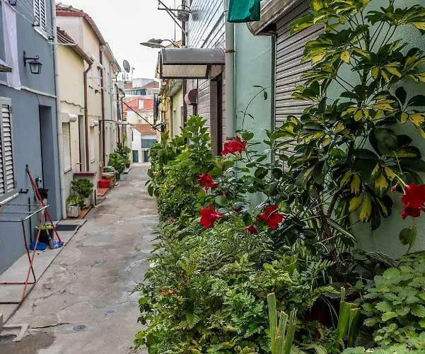 度假居 Typical Quarter Nest