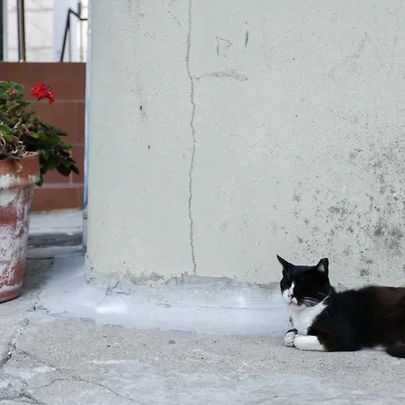 Typical Quarter Nest Σπίτι διακοπών Πόρτο