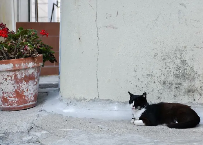 Typical Quarter Nest Σπίτι διακοπών Πόρτο