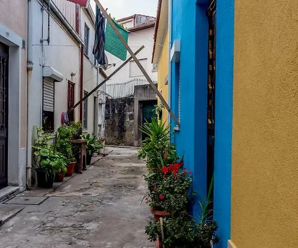 Typical Quarter Nest Πόρτο